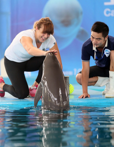 以增强球队 以增强球队