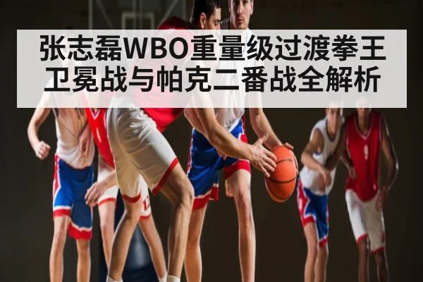 张志磊WBO重量级过渡拳王卫冕战与帕克二番战全解析
